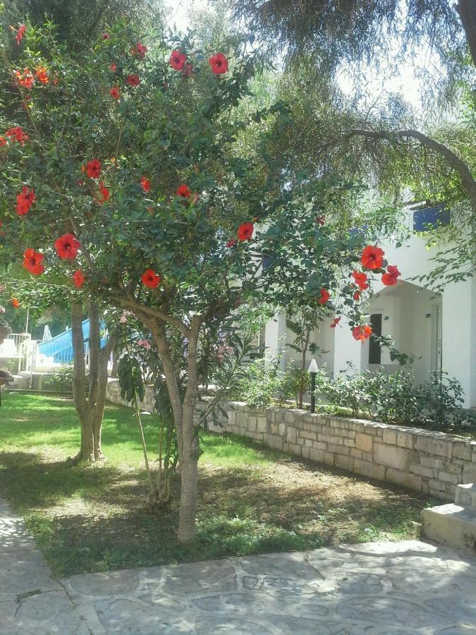 Tenda Hotel Bodrum Exterior photo